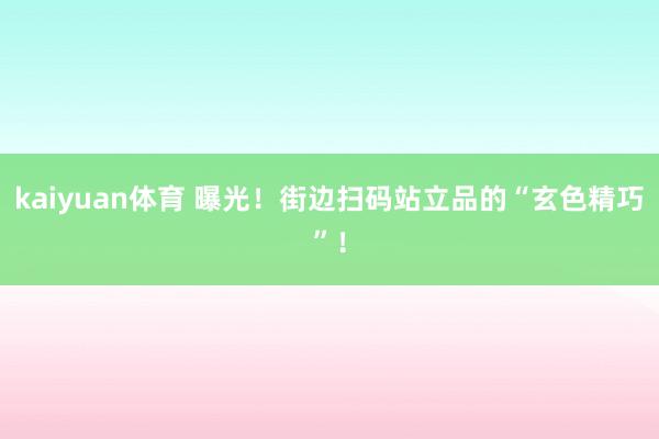 kaiyuan体育 曝光！街边扫码站立品的“玄色精巧”！