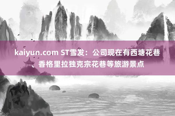 kaiyun.com ST雪发：公司现在有西塘花巷、香格里拉独克宗花巷等旅游景点