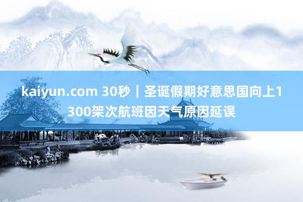 kaiyun.com 30秒｜圣诞假期好意思国向上1300架次航班因天气原因延误