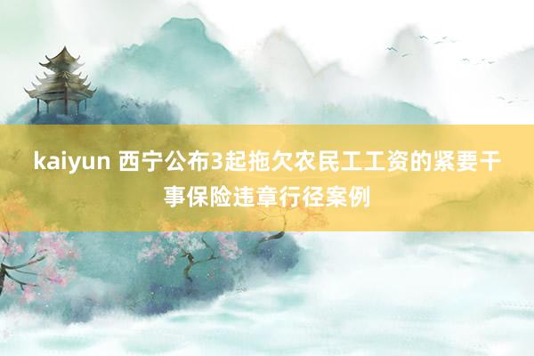 kaiyun 西宁公布3起拖欠农民工工资的紧要干事保险违章行径案例