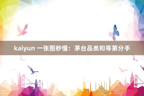 kaiyun 一张图秒懂：茅台品类和等第分手