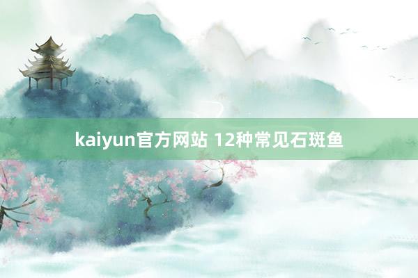 kaiyun官方网站 12种常见石斑鱼