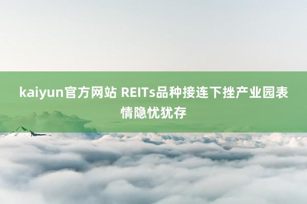 kaiyun官方网站 REITs品种接连下挫产业园表情隐忧犹存