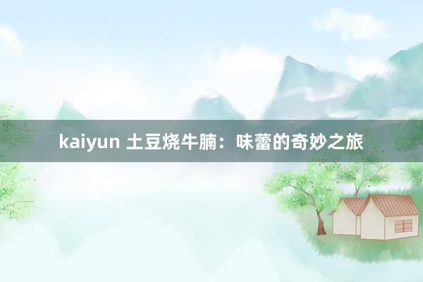 kaiyun 土豆烧牛腩：味蕾的奇妙之旅