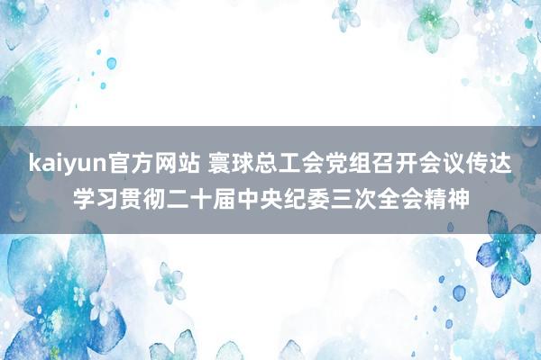 kaiyun官方网站 寰球总工会党组召开会议传达学习贯彻二十届中央纪委三次全会精神