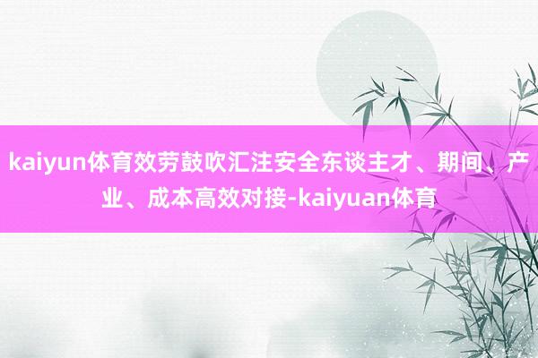 kaiyun体育效劳鼓吹汇注安全东谈主才、期间、产业、成本高效对接-kaiyuan体育