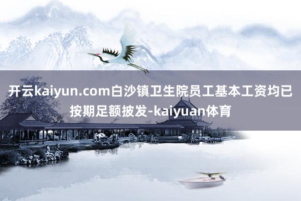 开云kaiyun.com白沙镇卫生院员工基本工资均已按期足额披发-kaiyuan体育