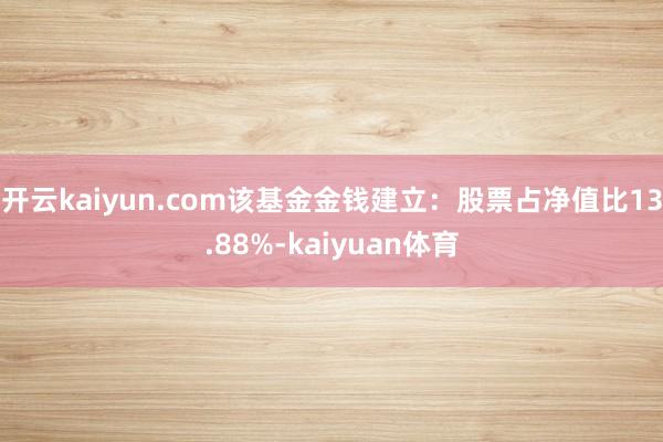 开云kaiyun.com该基金金钱建立：股票占净值比13.88%-kaiyuan体育